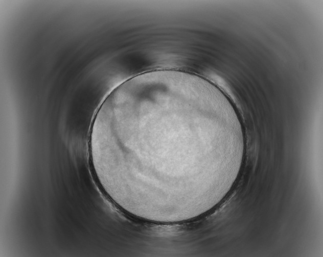 X0000086750810200704201724