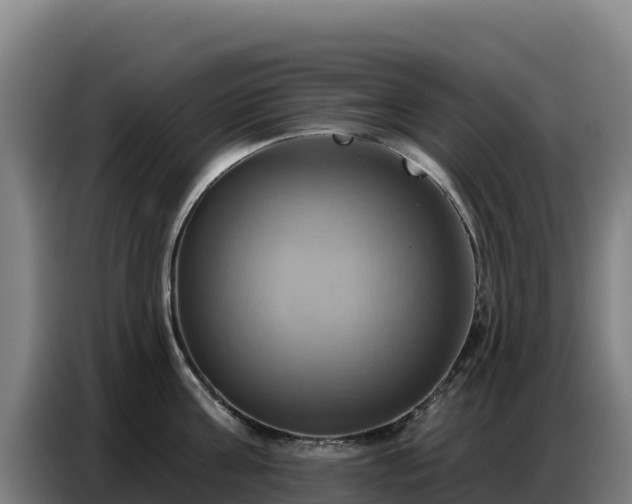 X0000086750811200704201724