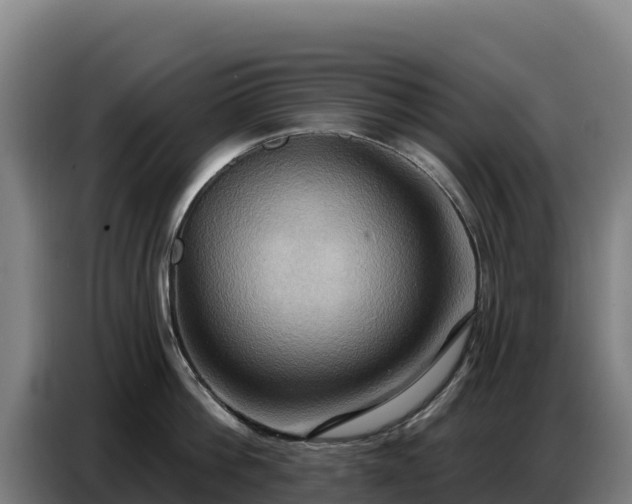 X0000086750812200704201724