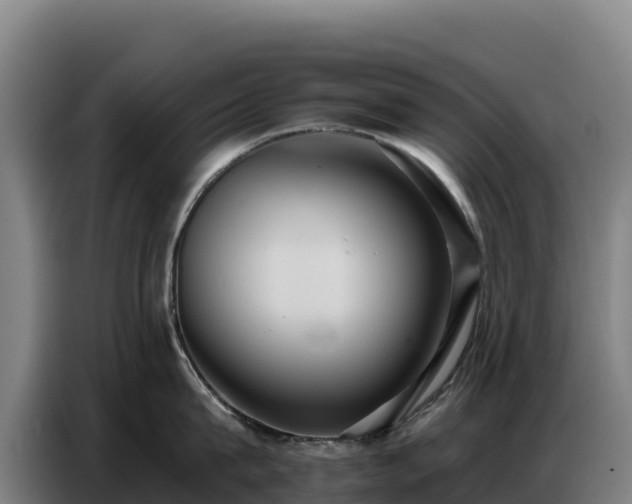 X0000086750815200704201724