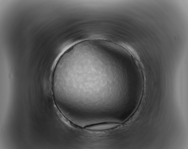 X0000086750816200704201724