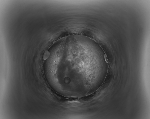 X0000086750817200704201723