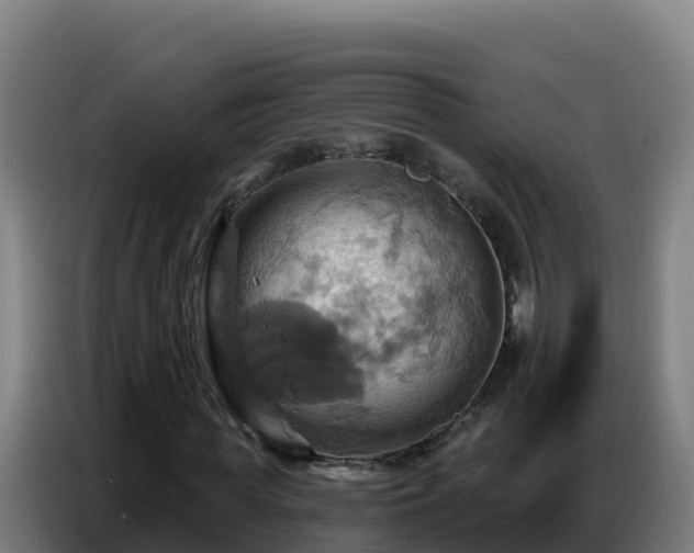 X0000086750819200704201723