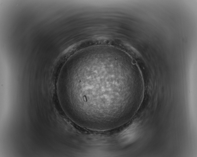 X0000086750821200704201723