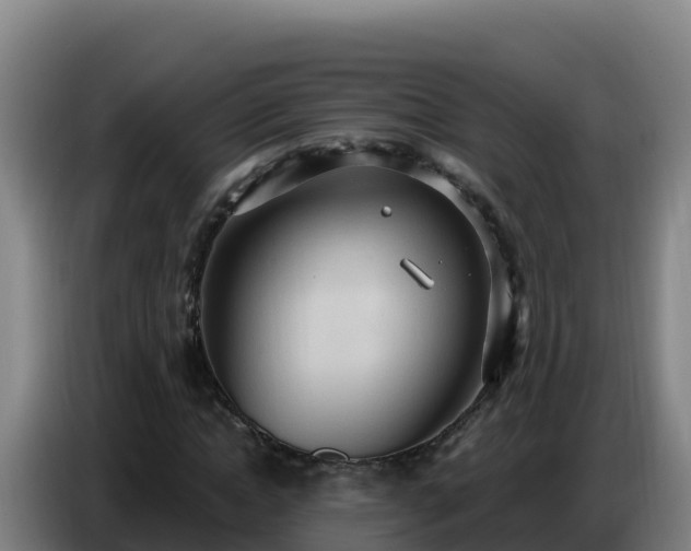 X0000086750822200704201723