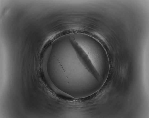 X0000086750823200704201723