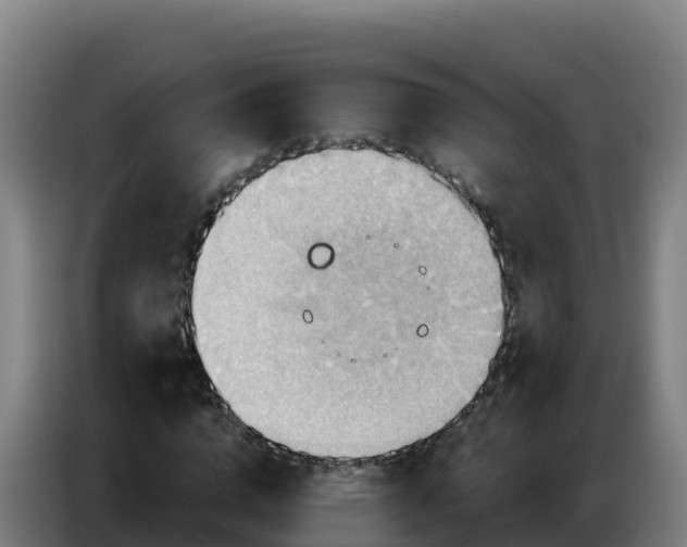 X0000086750824200704201723