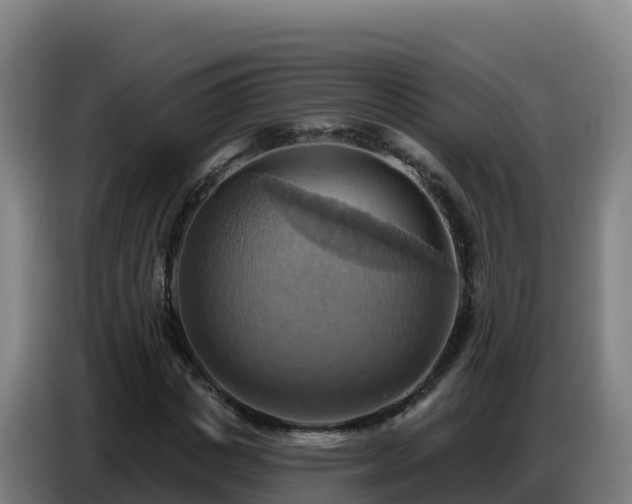 X0000086750825200704201723