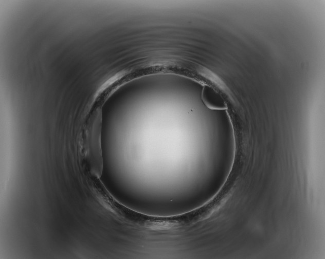 X0000086750826200704201723