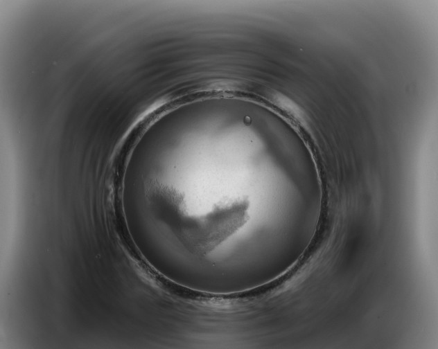 X0000086750827200704201723