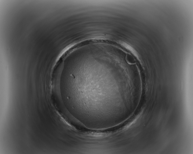 X0000086750829200704201723