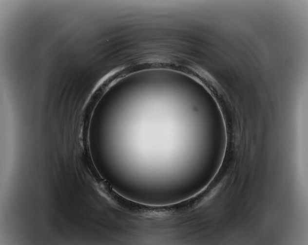 X0000086750830200704201723