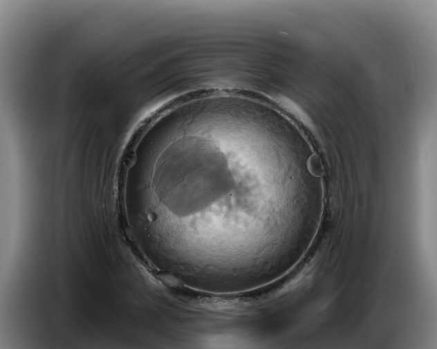X0000086750831200704201723