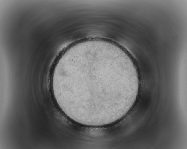 X0000086750832200704201723