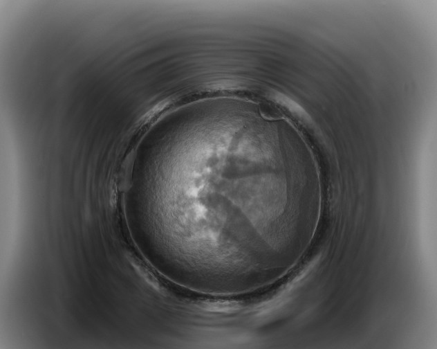 X0000086750833200704201723