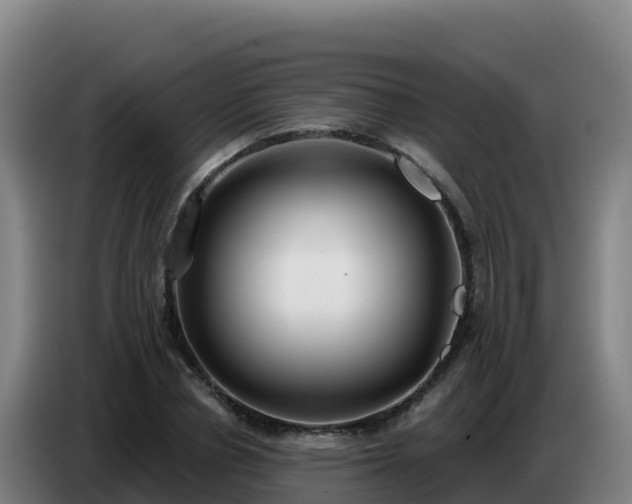 X0000086750834200704201723