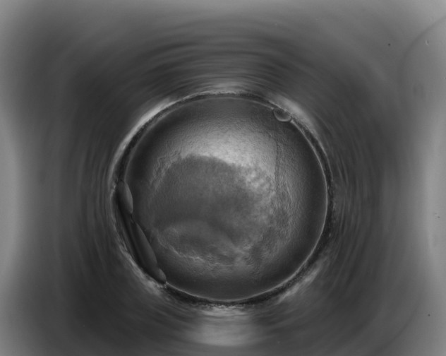 X0000086750835200704201723