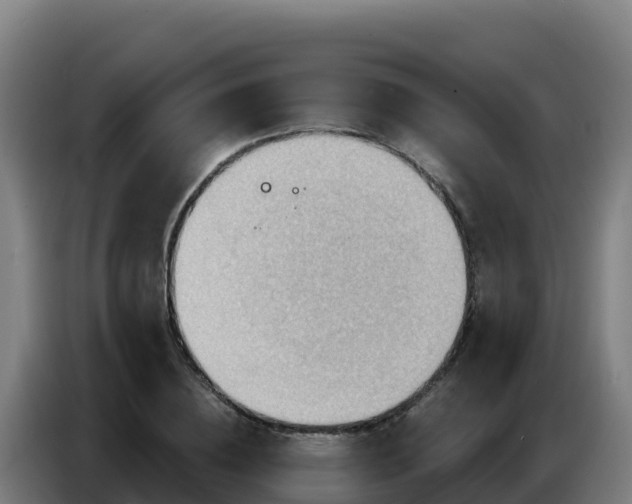 X0000086750836200704201723