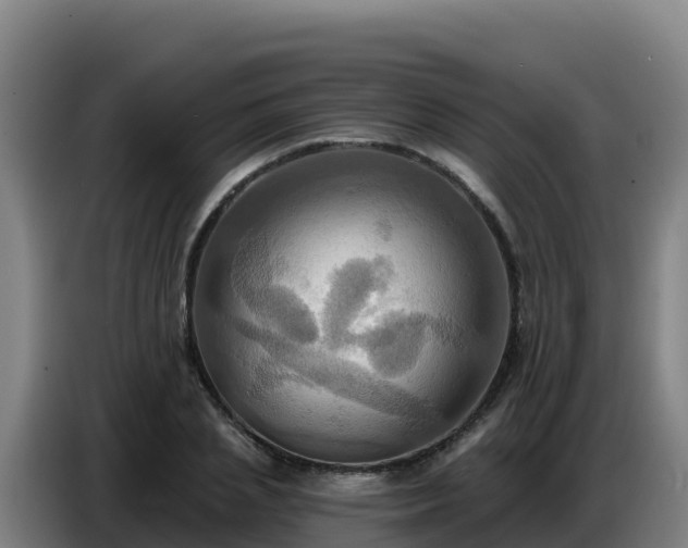 X0000086750837200704201723