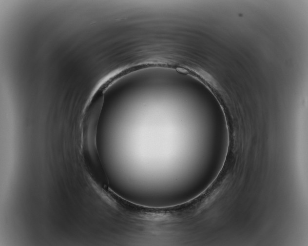 X0000086750838200704201723