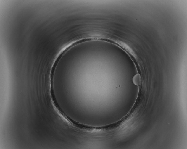 X0000086750839200704201723