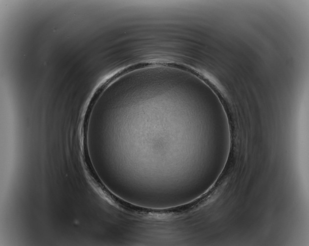 X0000086750840200704201723