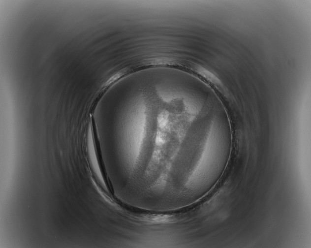 X0000086750841200704201724