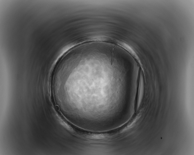 X0000086750843200704201724