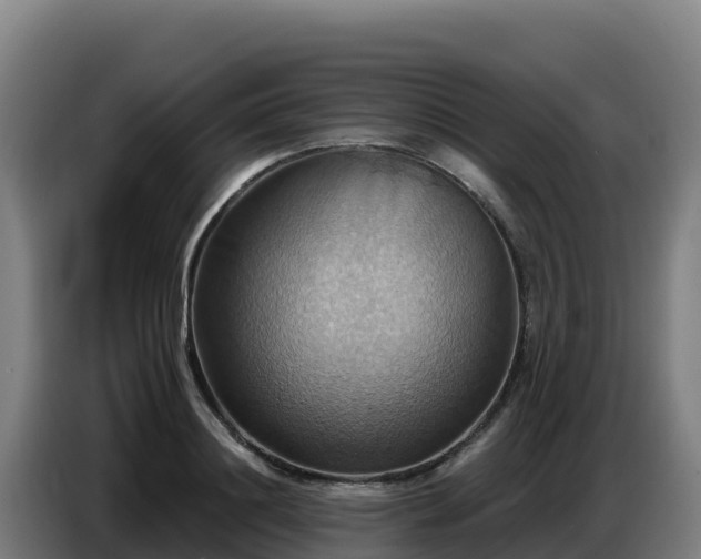 X0000086750844200704201724