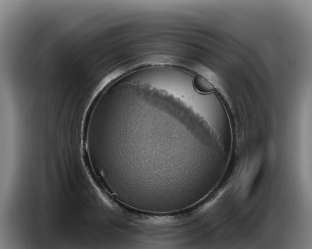 X0000086750845200704201724