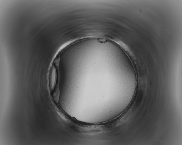 X0000086750846200704201724