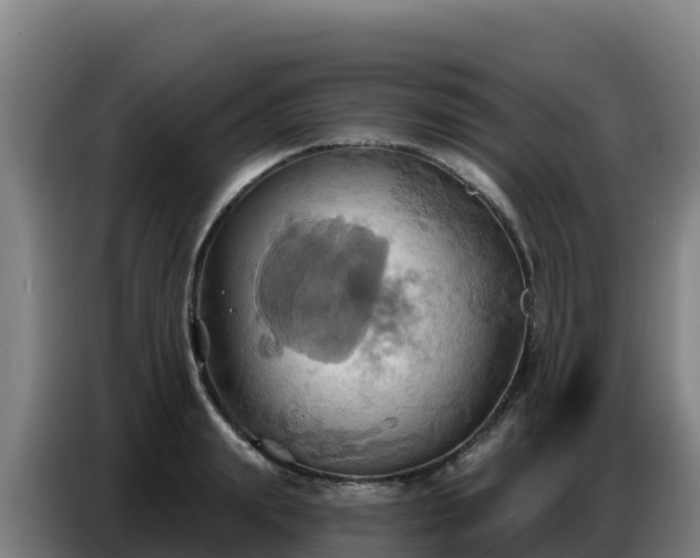 X0000086750847200704201724