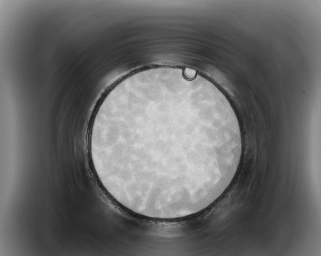 X0000086750848200704201724