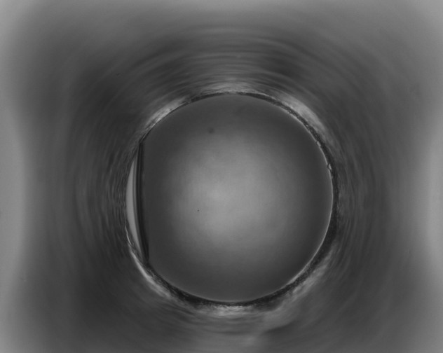 X0000086750849200704201724