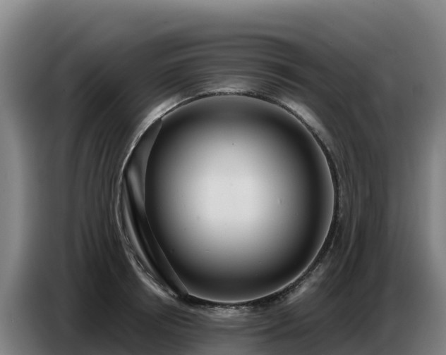 X0000086750850200704201724