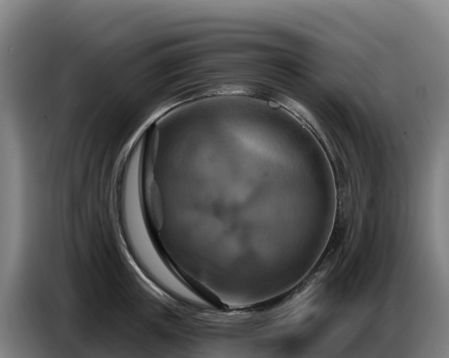 X0000086750851200704201724