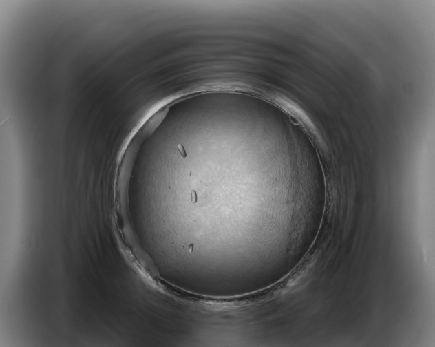 X0000086750852200704201724