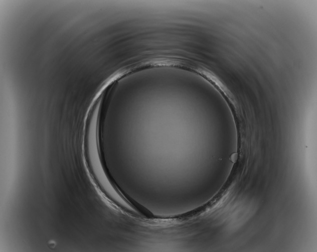 X0000086750853200704201724