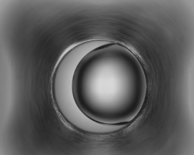 X0000086750854200704201724