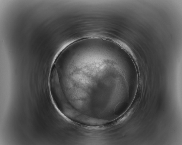 X0000086750855200704201724