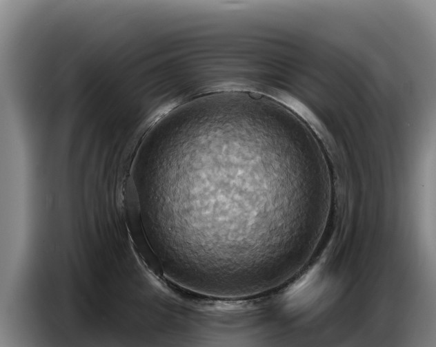 X0000086750857200704201724