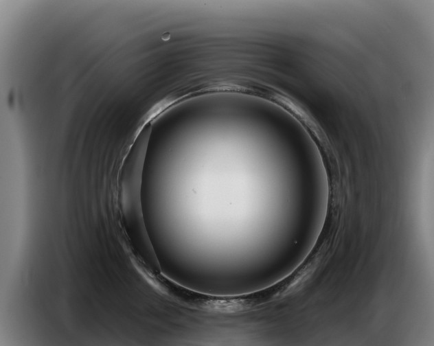 X0000086750858200704201724