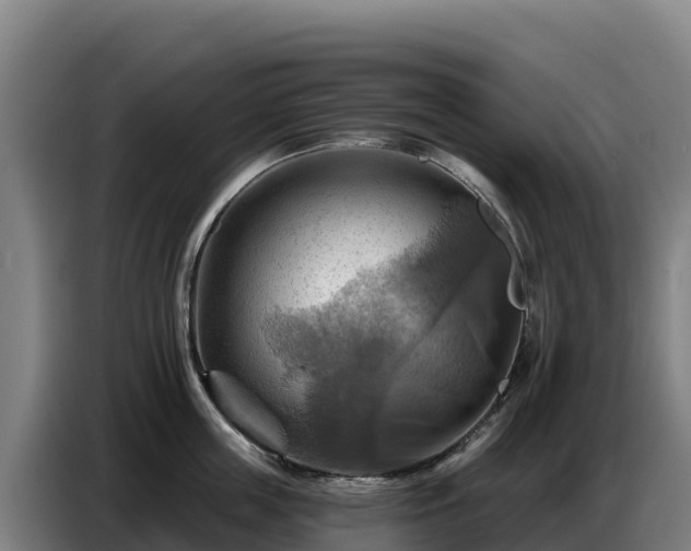 X0000086750859200704201724
