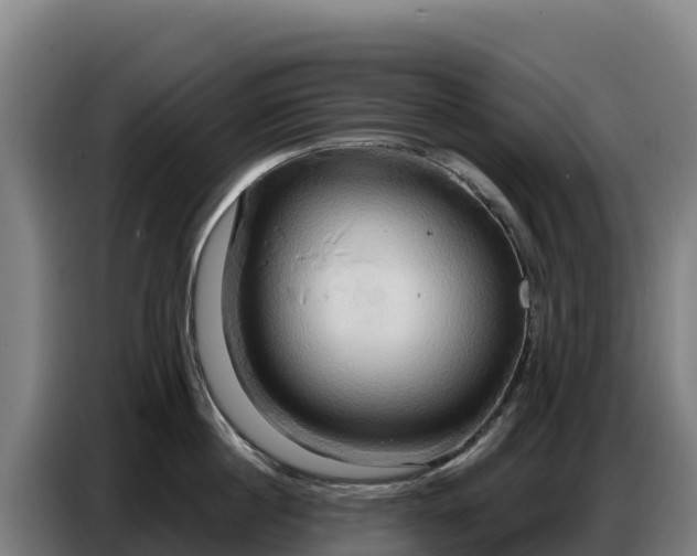 X0000086750860200704201724