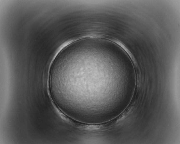 X0000086750861200704201724