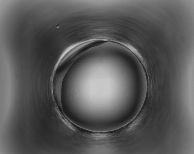 X0000086750862200704201724