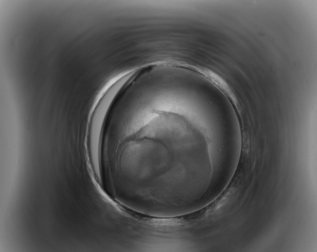 X0000086750863200704201724