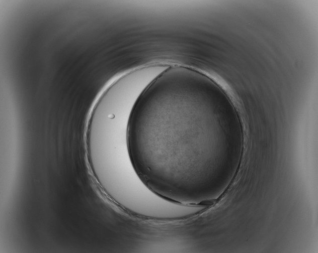 X0000086750864200704201724