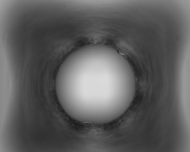 X0000086750865200704201723