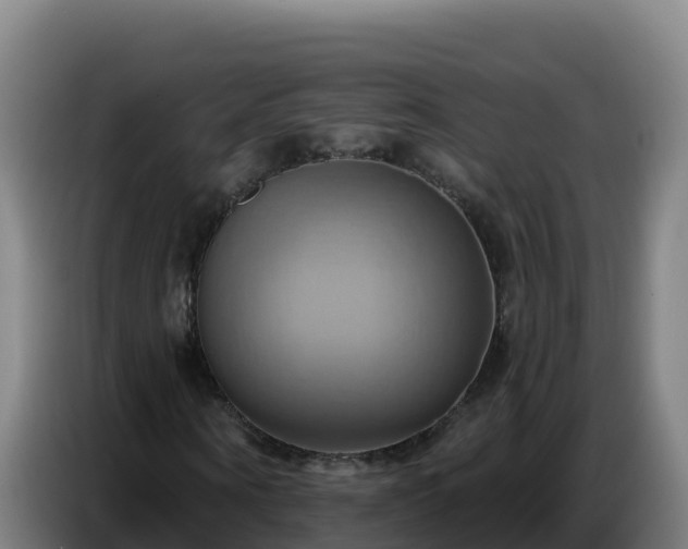 X0000086750866200704201723
